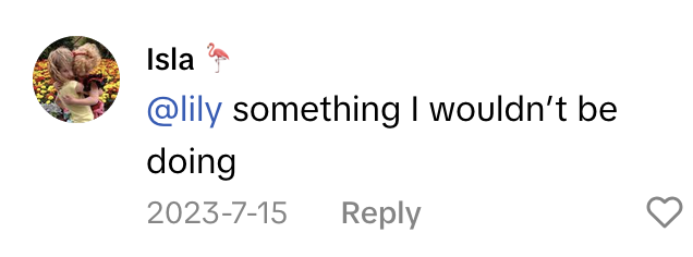 TikTok comment